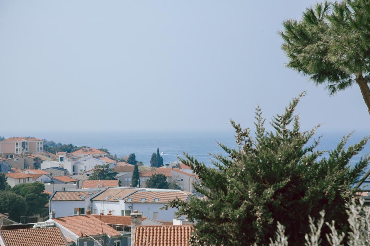 מדולין Apartments Potocki מראה חיצוני תמונה