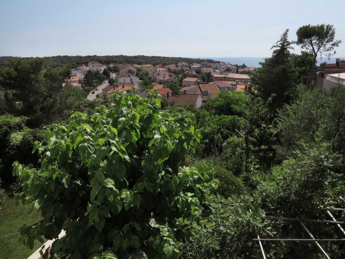 מדולין Apartments Potocki מראה חיצוני תמונה